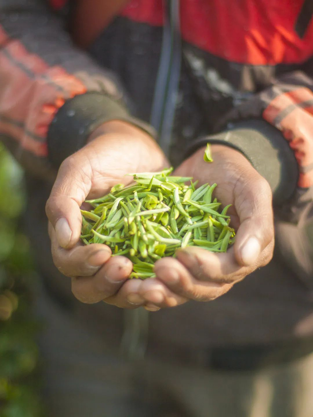 1650013057446973.png 04.png