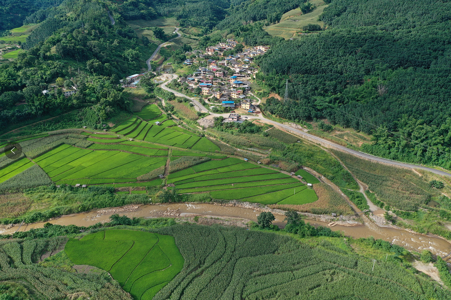 1663313923387431.png bb365105952280de3283d6b7b46d4376.png