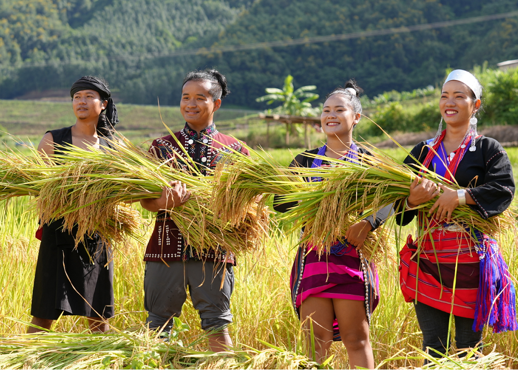 1663314509658349.jpg 1663313996792.jpg