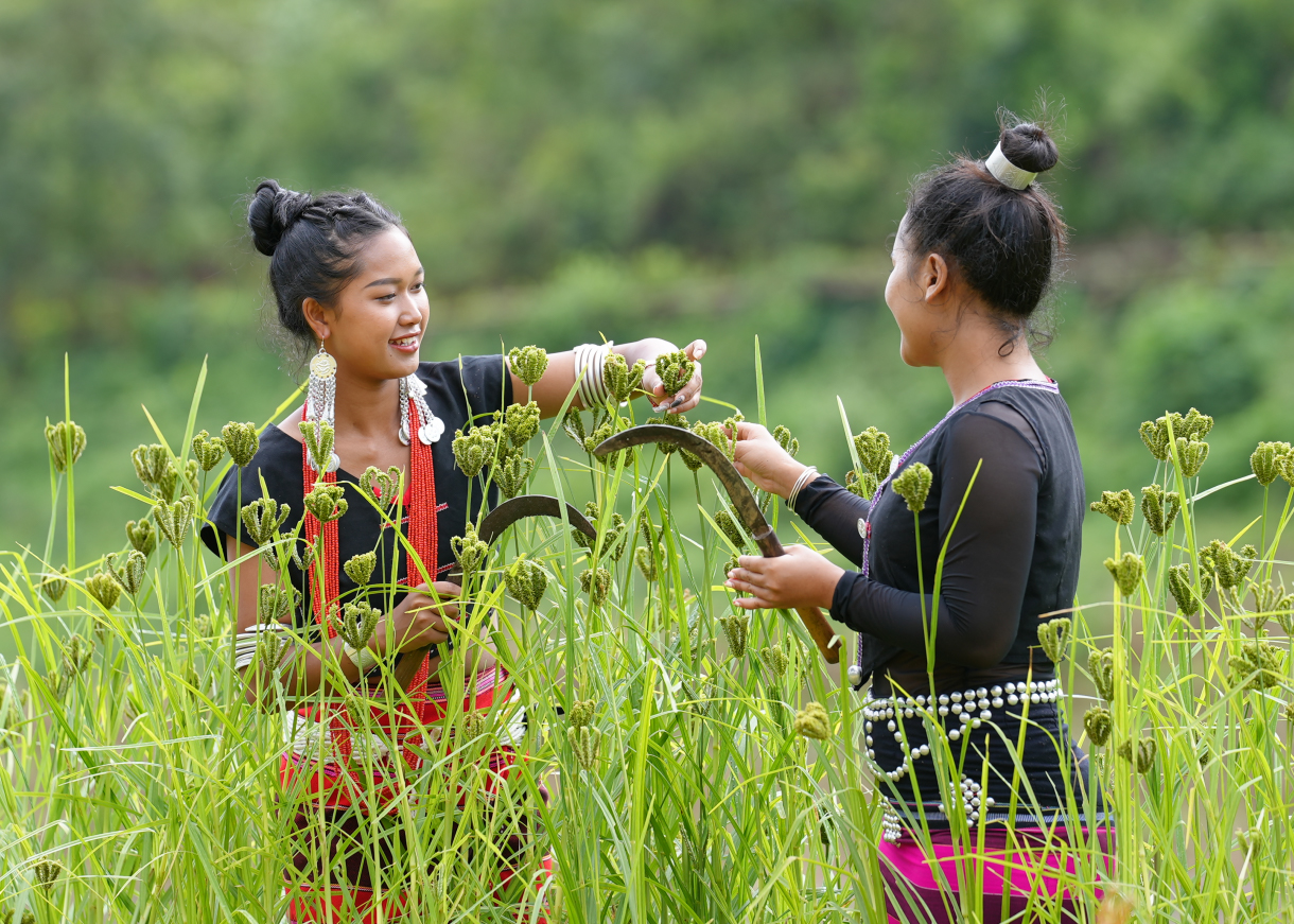 1663314713492203.jpg 3ed615f7e9ae4f8384d87c2bd7c10fe6.jpg