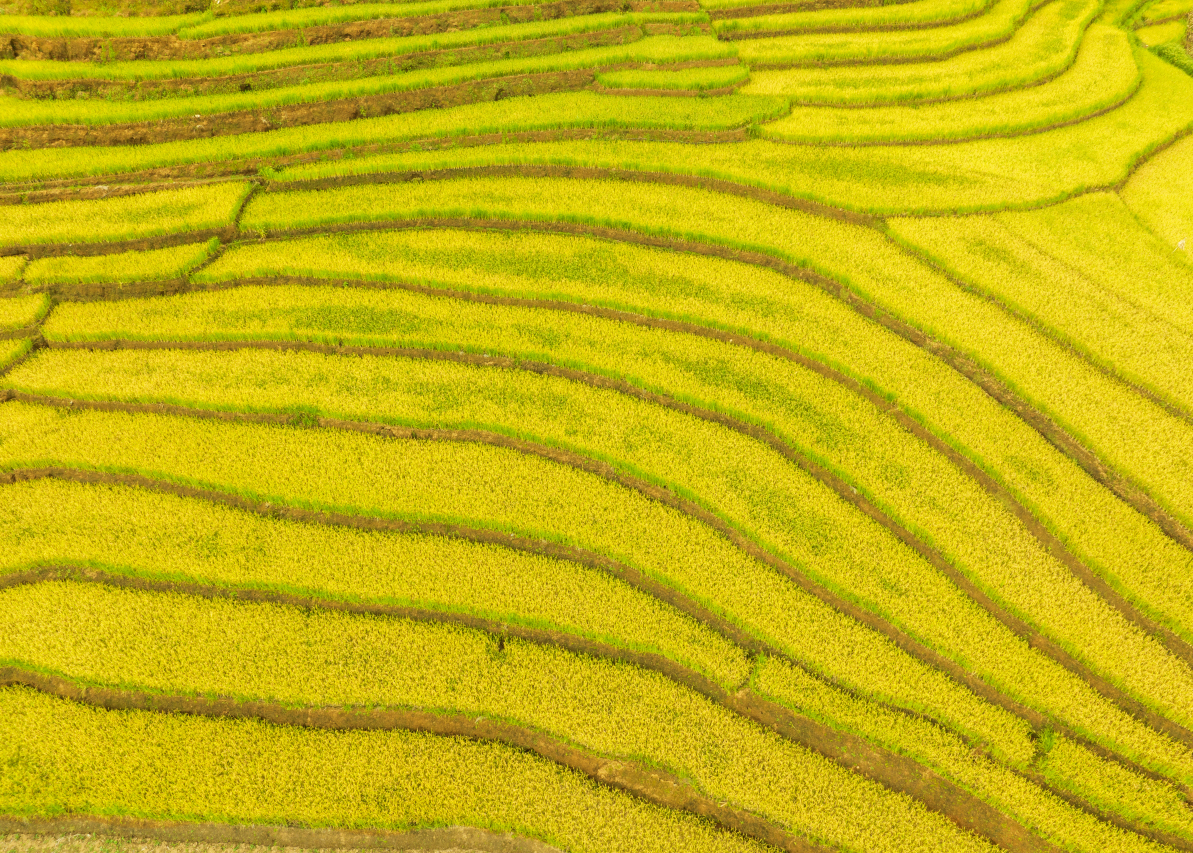 1663314727623648.jpg a35de31e90ff936791d07f48d439e7fc.jpg